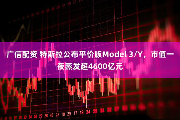 广信配资 特斯拉公布平价版Model 3/Y，市值一夜蒸发超4600亿元
