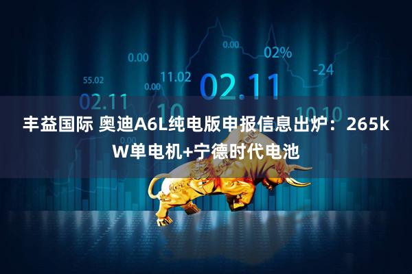 丰益国际 奥迪A6L纯电版申报信息出炉：265kW单电机+宁德时代电池