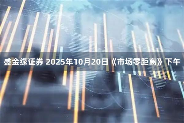 盛金缘证券 2025年10月20日《市场零距离》下午