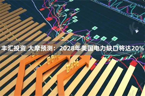 丰汇投资 大摩预测：2028年美国电力缺口将达20%