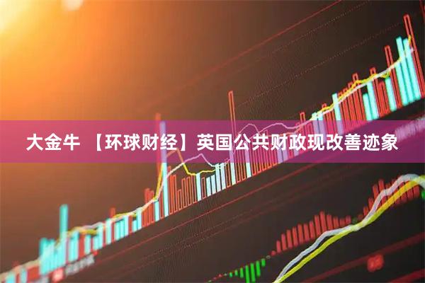 大金牛 【环球财经】英国公共财政现改善迹象